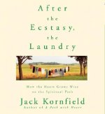 After the Ecstasy, the Laundry
