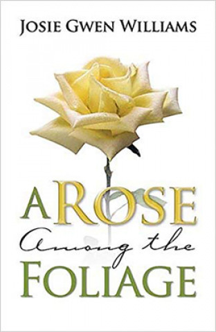 Rose Among The Foliage, A