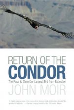 Return of the Condor
