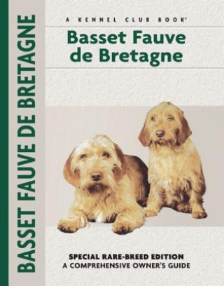 Basset Fauve De Bretagne