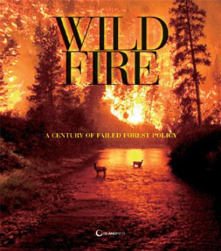 Wildfire Reader