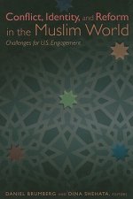 Conflict, Identity, and Reform in the Muslim World