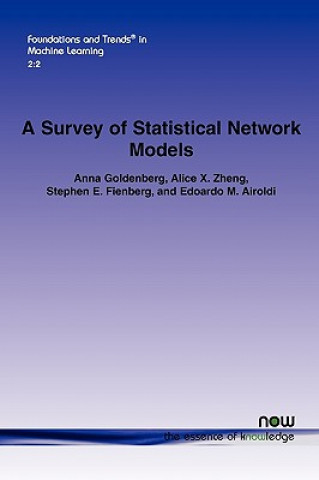 Survey of Statistical Network Models