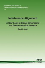 Interference Alignment