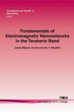 Fundamentals of Electromagnetic Nanonetworks in the Terahertz Band