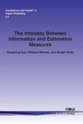 Interplay Between Information and Estimation Measures