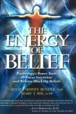 Energy of Belief