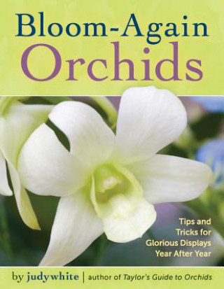 Bloom-Again Orchids