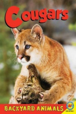 Cougars