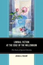 Liminal Fiction at the Edge of the Millennium
