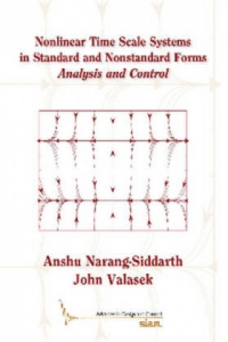 Nonlinear Time Scale Systems in Standard and Nonstandard Forms