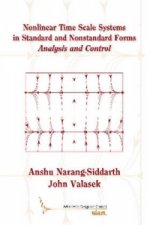 Nonlinear Time Scale Systems in Standard and Nonstandard Forms