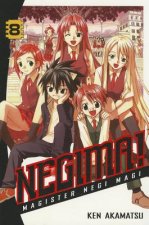 Negima! 8