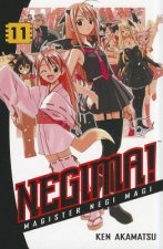 Negima! 11