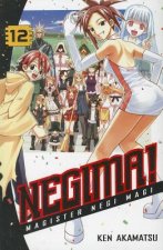 Negima! 12