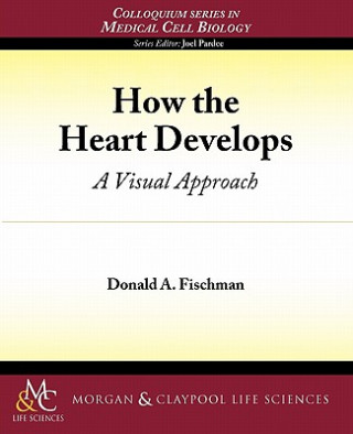 How the Heart Develops