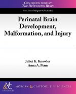 Perinatal Brain Development, Malformation, and Injury