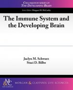 Immune System and the Developing Brain