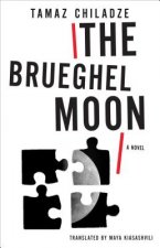 Brueghel Moon - A Novel