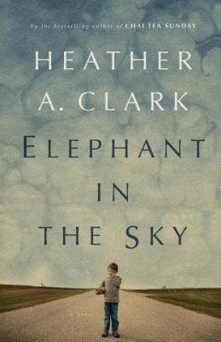 Elephant In The Sky