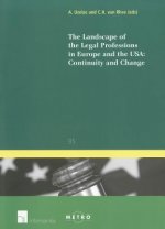 Landscape of the Legal Professions in Europe and the USA: Continuity and Change