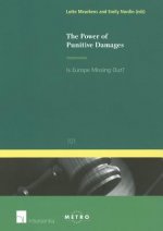 Power of Punitive Damages