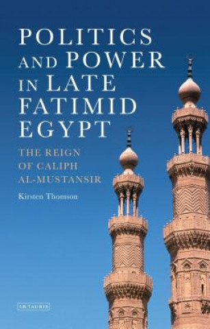 Politics and Power in Late Fatimid Egypt