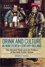 Drink and Culture in Nineteenth-century Ireland