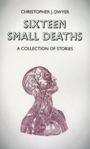 Sixteen Small Deaths