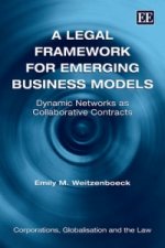 Legal Framework for Emerging Business Models