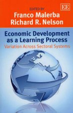 Economic Development as a Learning Process - Variation Across Sectoral Systems
