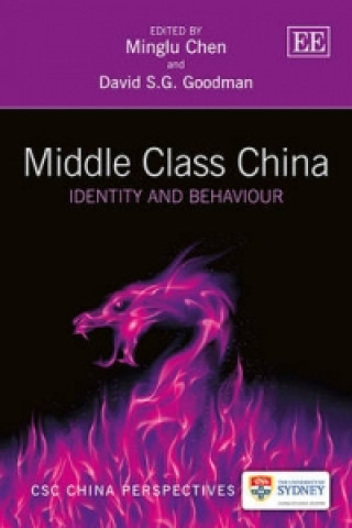 Middle Class China