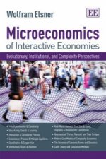 Microeconomics of Interactive Economies - Evolutionary, Institutional, and Complexity Perspectives. A 