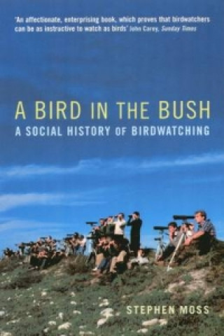 Bird in the Bush