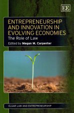 Entrepreneurship and Innovation in Evolving Economies