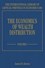 Economics of Wealth Distribution