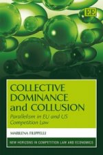Collective Dominance and Collusion
