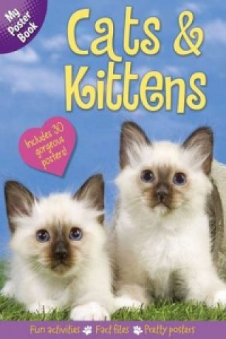 Cats & Kitens Poster Book