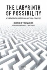 Labyrinth of Possibility