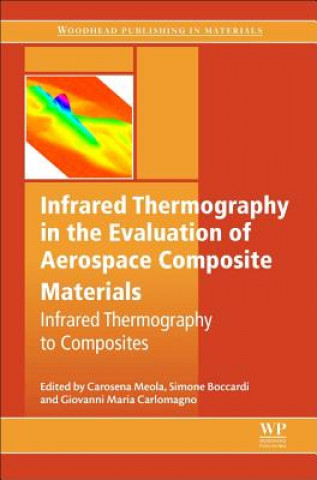 Infrared Thermography in the Evaluation of Aerospace Composite Materials