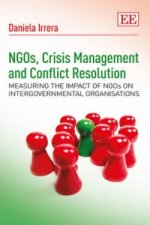 NGOs, Crisis Management and Conflict Resolution - Measuring the Impact of NGOs on Intergovernmental Organisations