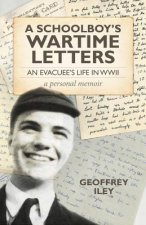 Schoolboy's Wartime Letters
