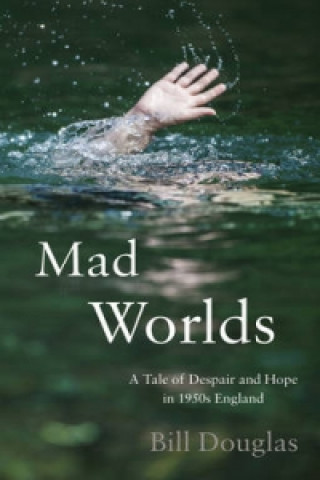 Mad Worlds