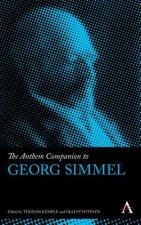 Anthem Companion to Georg Simmel