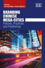 Branding Chinese Mega-Cities - Policies, Practices and Positioning