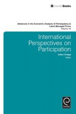 International Perspectives on Participation