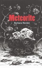 Meteorite