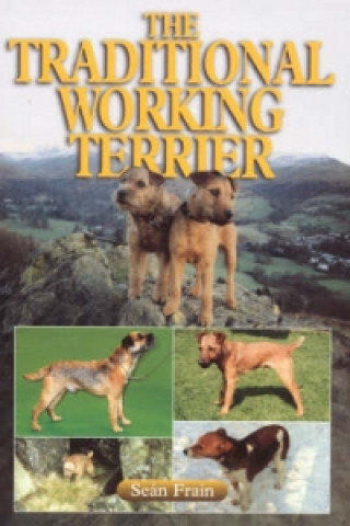 Traditional Working Terrier