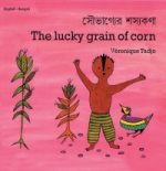 Lucky Grain of Corn