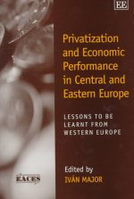Privatization and Economic Performance in Centra - Lessons to be Learnt from Western Europe